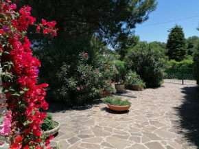 Valle d'Itria fiorita